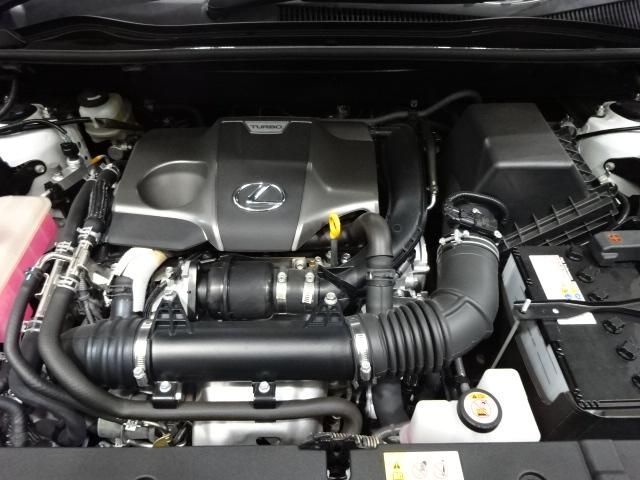 Lexus NX 2018-04 181341-18