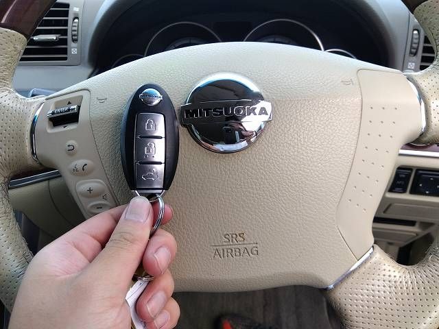 Mitsuoka MITSUOKA OTHERS 2007-11 6697-29