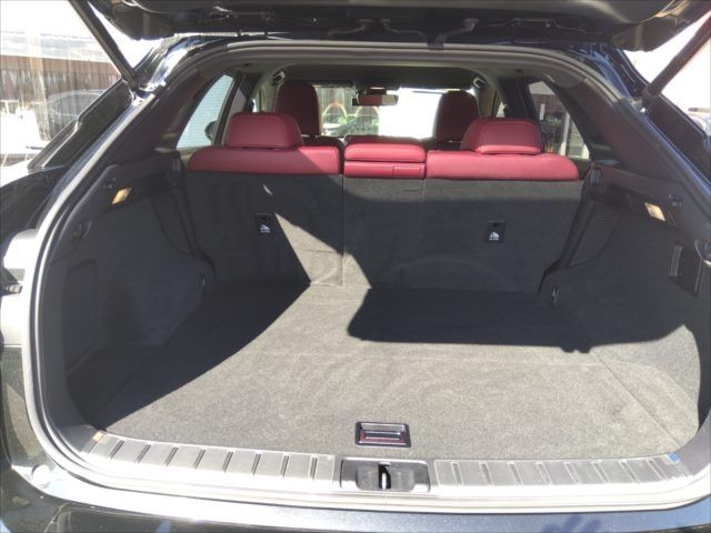 Lexus RX 2016-08 9721-5