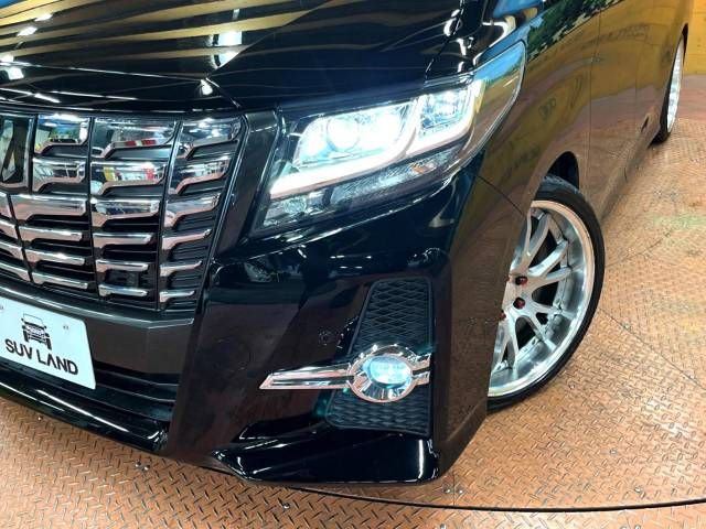 Toyota ALPHARD 2017-10 193609-12