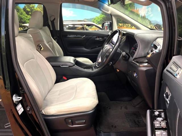 Toyota ALPHARD 2017-10 193609-8
