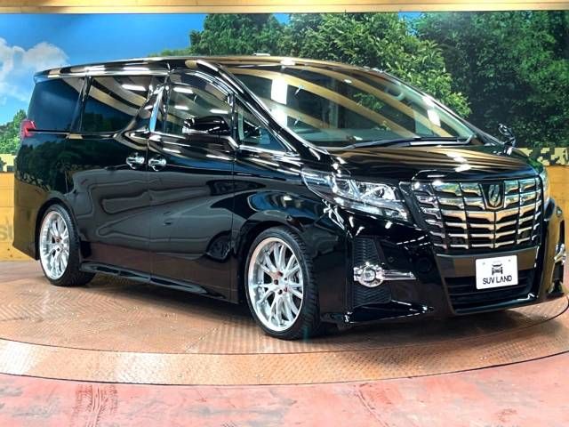 Toyota ALPHARD 2017-10 193609-16