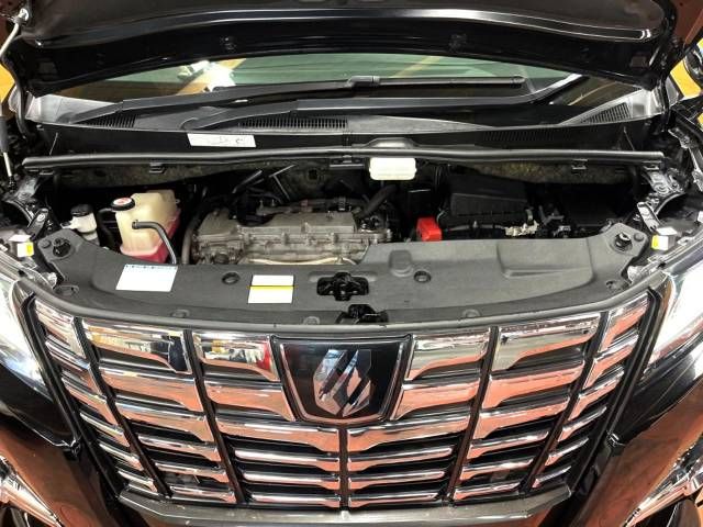 Toyota ALPHARD 2017-10 193609-18