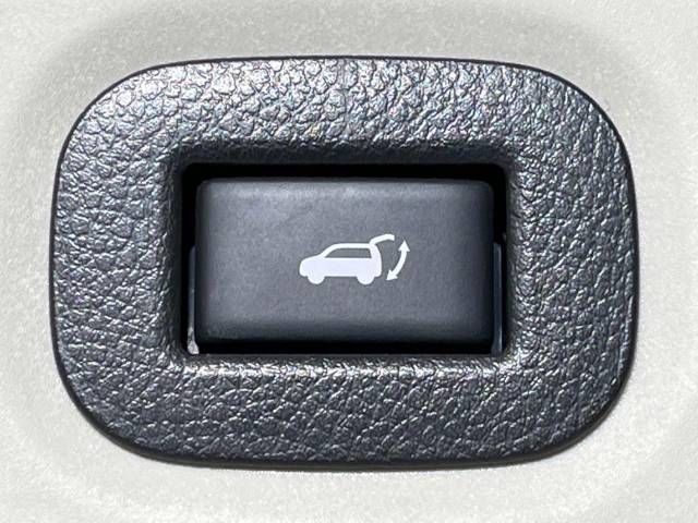 Nissan X-TRAIL 2019-01 17031-4