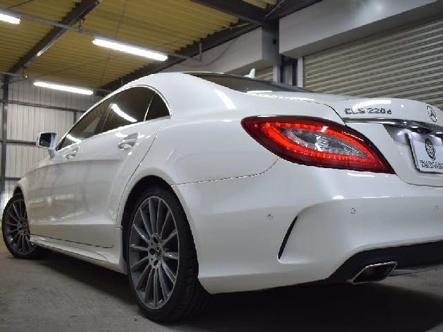Mercedes Benz CLS-CLASS 2017-03 23987-23