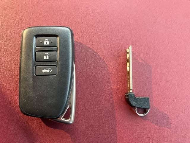 Lexus RX 2018-04 192019-29