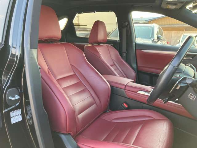 Lexus RX 2018-04 192019-24