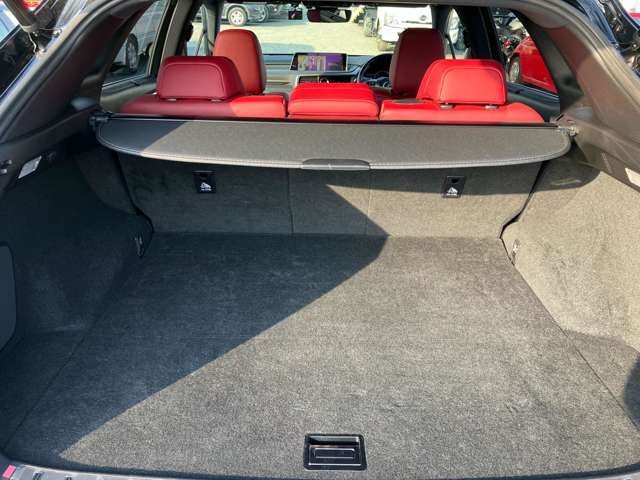 Lexus RX 2018-04 192019-28