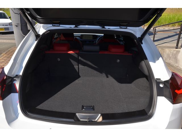 Lexus UX 2019-09 17573-20