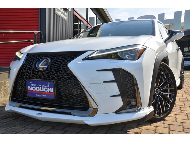 Lexus UX 2019-09 17573-0