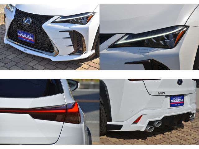 Lexus UX 2019-09 17573-26
