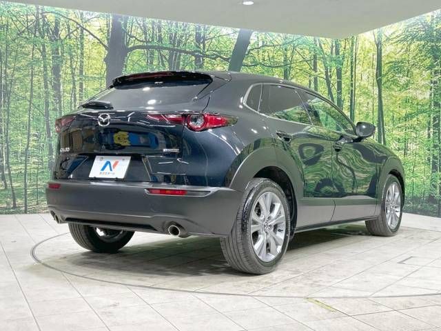 Mazda CX-30 2023-01 28493-17