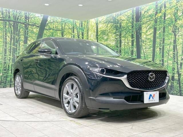 Mazda CX-30 2023-01 28493-16