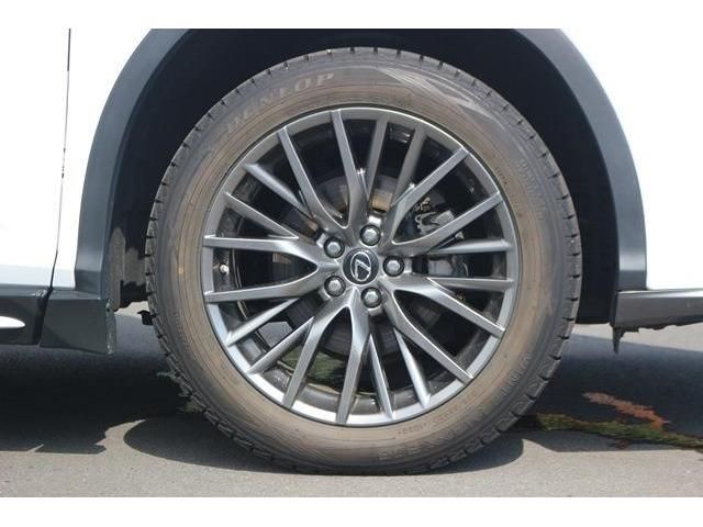 Lexus RX 2016-03 9839-8