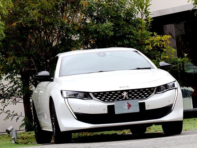 Peugeot 508 2019-06 772-6
