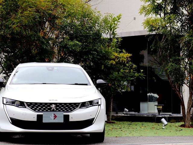 Peugeot 508 2019-06 772-4