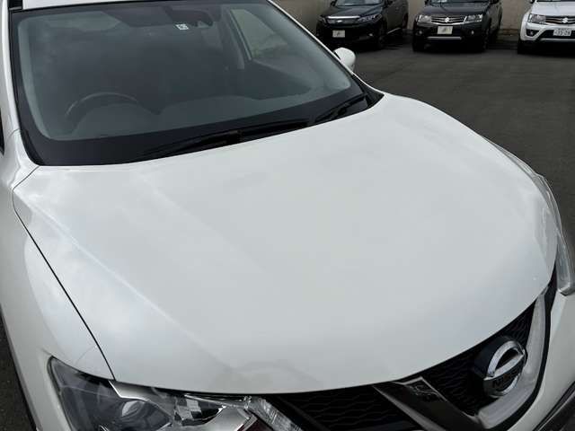Nissan X-TRAIL 2016-06 11804-13