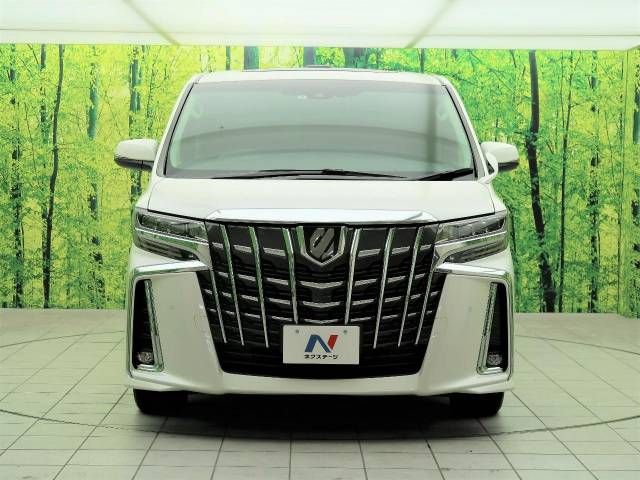 Toyota ALPHARD 2020-10 194326-14