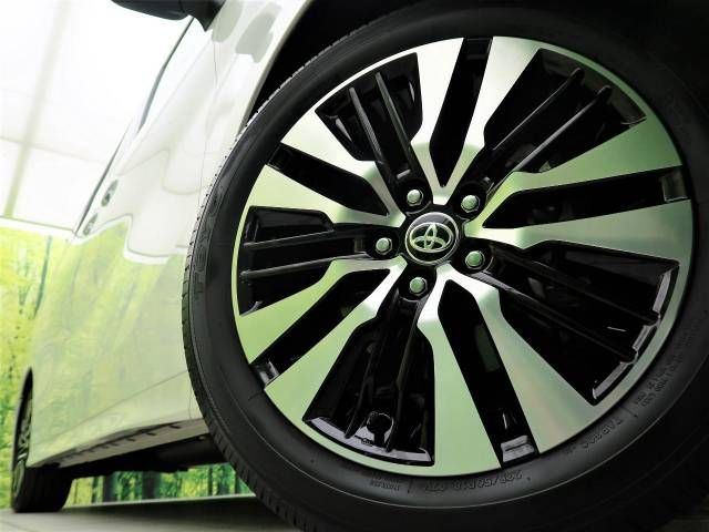 Toyota ALPHARD 2020-10 194326-13