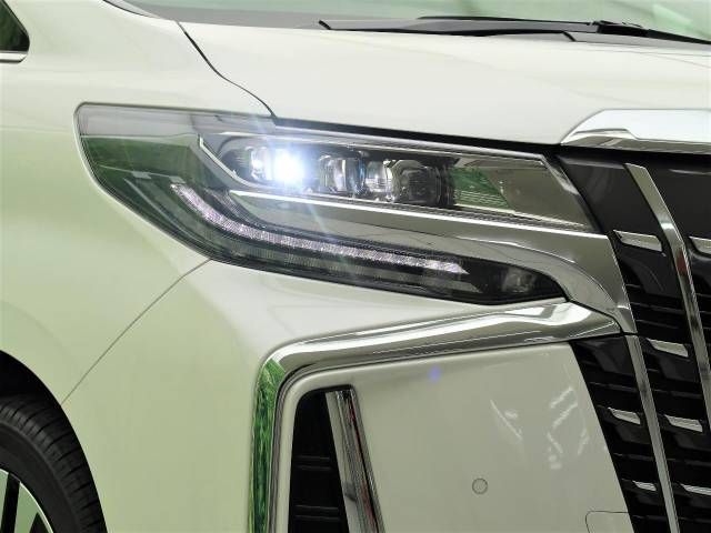 Toyota ALPHARD 2020-10 194326-12
