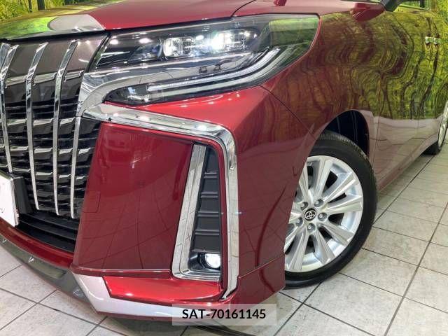 Toyota ALPHARD 2021-02 333029-11