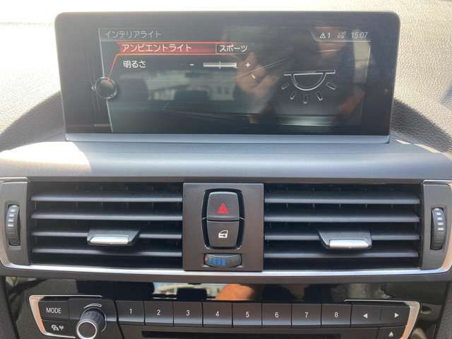 Bmw 1 SERIES 2016-09 6570-18