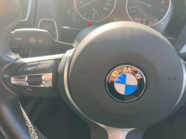Bmw 1 SERIES 2016-09 6570-14