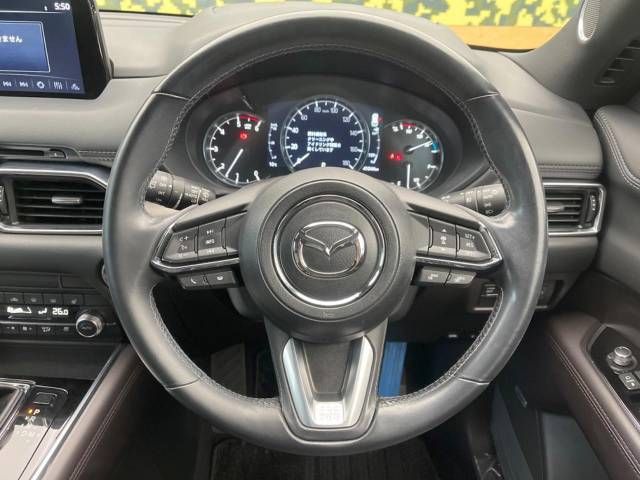 Mazda CX-8 2020-10 195882-6