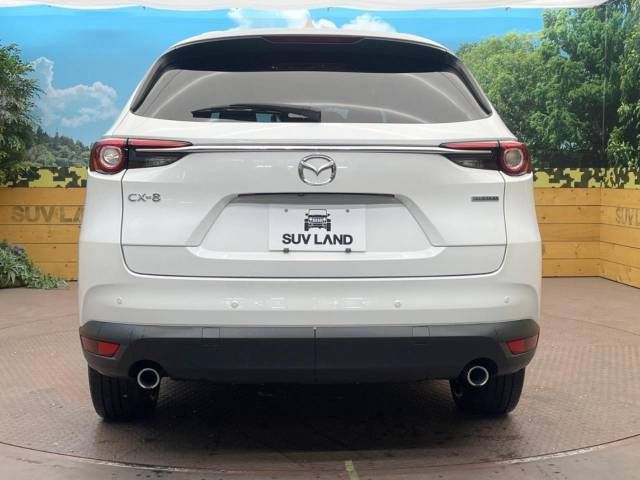 Mazda CX-8 2020-10 195882-13