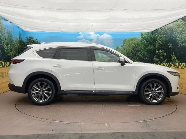 Mazda CX-8 2020-10 195882-16