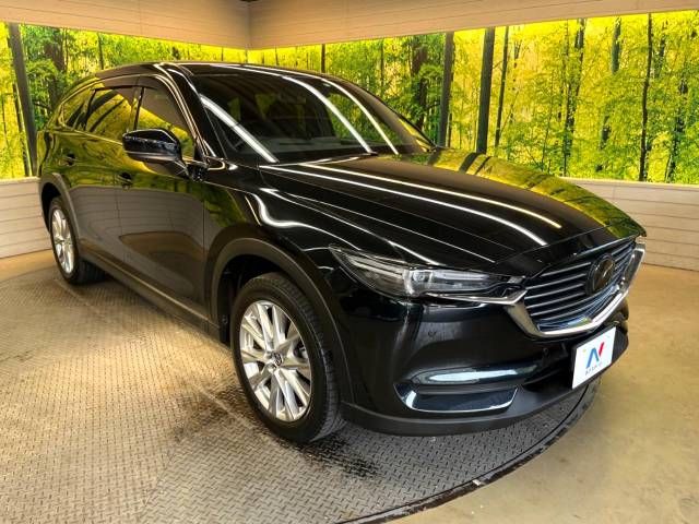 Mazda CX-8 2018-10 14731-17