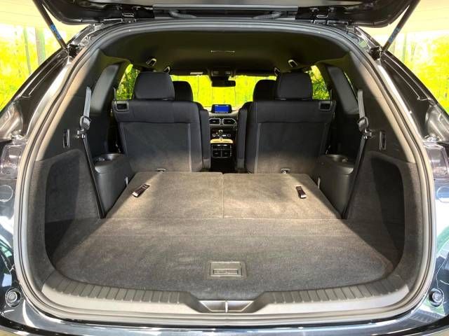 Mazda CX-8 2018-10 14731-11