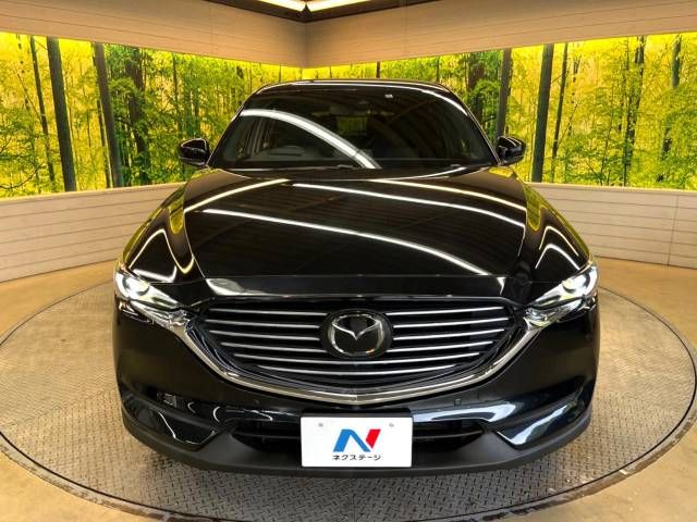 Mazda CX-8 2018-10 14731-15