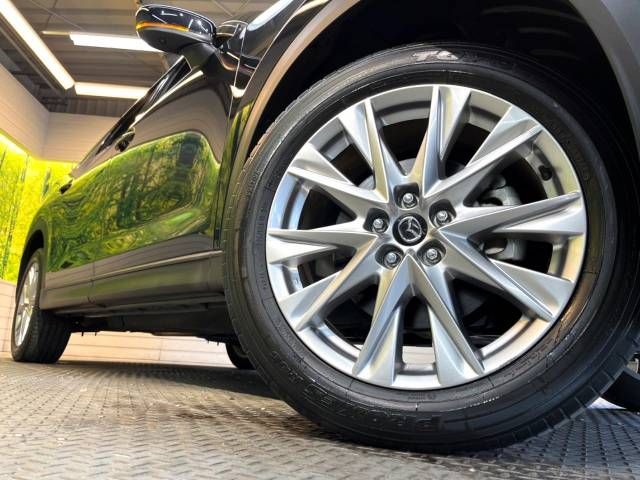 Mazda CX-8 2018-10 14731-14