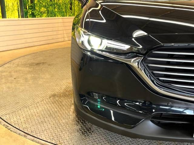 Mazda CX-8 2018-10 14731-13