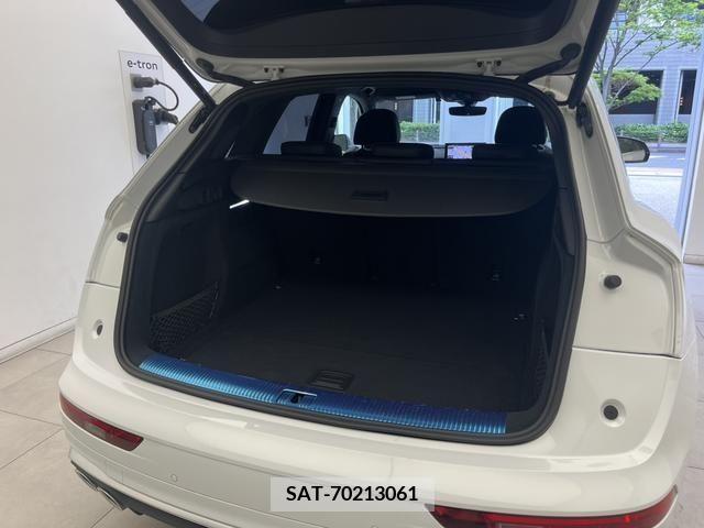 Audi SQ5 2021-06 317978-15