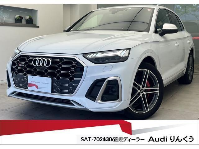 Audi SQ5 2021-06 317978-0