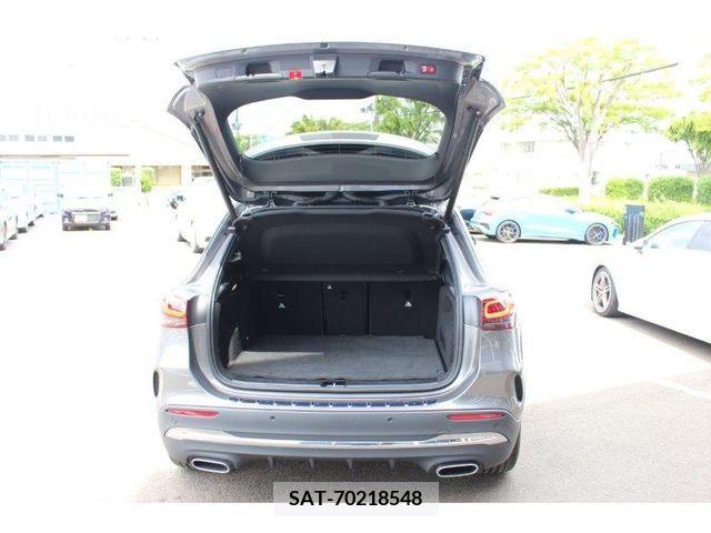 Mercedes Benz GLA-CLASS 2020-09 200374-6