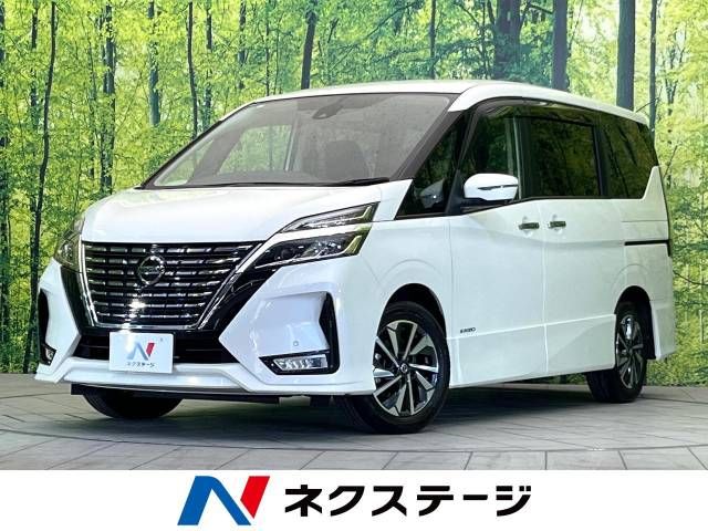 Nissan SERENA 2020-02 13667-0