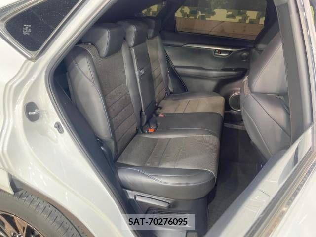 Lexus NX 2021-02 247237-14