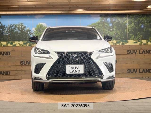 Lexus NX 2021-02 247237-15