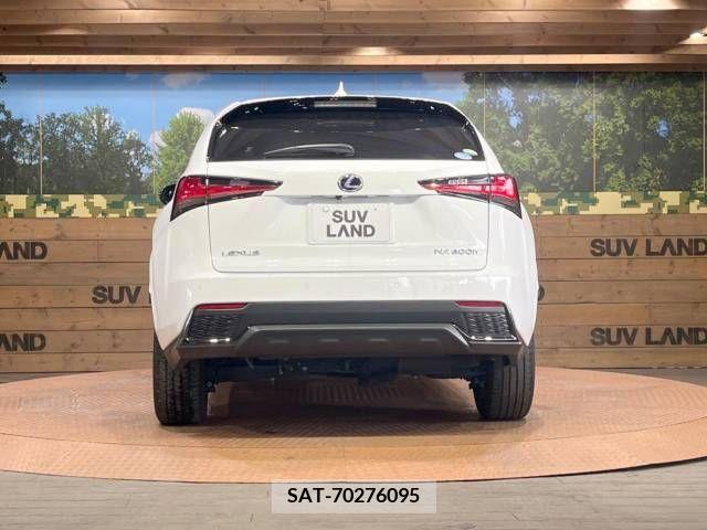 Lexus NX 2021-02 247237-16