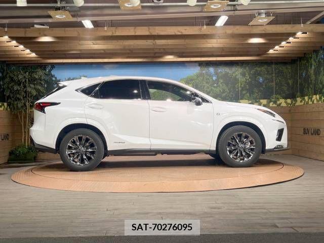 Lexus NX 2021-02 247237-17