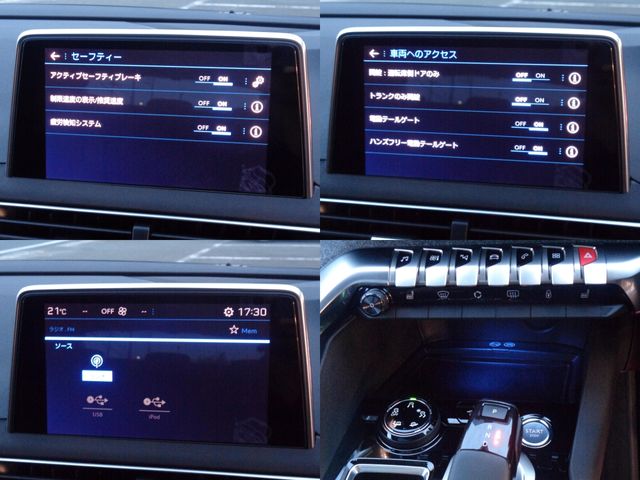 Peugeot 3008 2019-01 11790-17