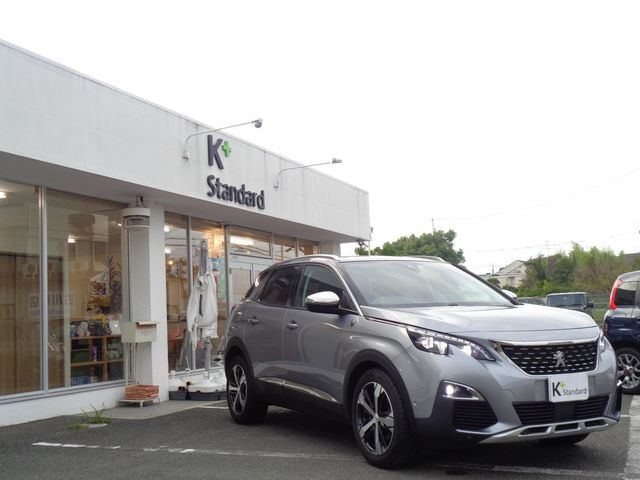 Peugeot 3008 2019-01 11790-4