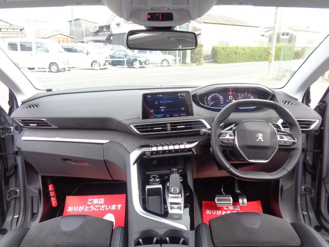 Peugeot 3008 2019-01 11790-12