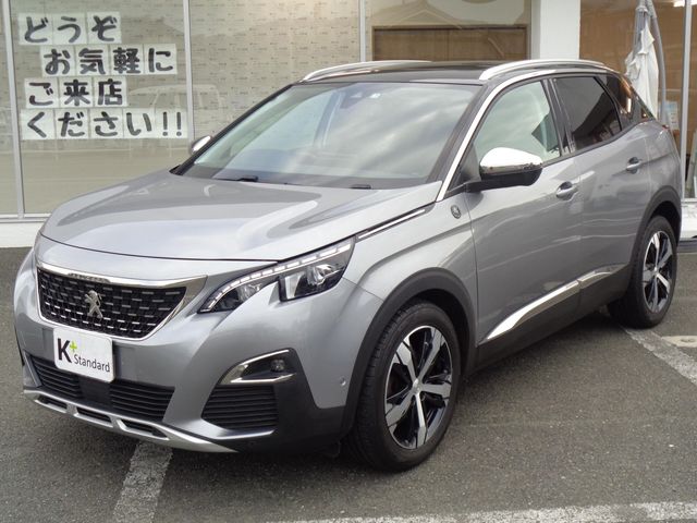 Peugeot 3008 2019-01 11790-0