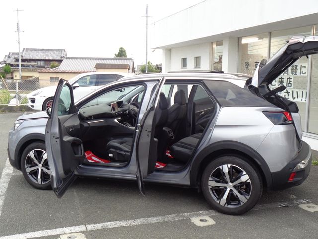 Peugeot 3008 2019-01 11790-24