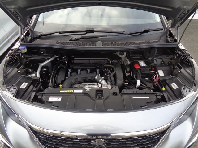 Peugeot 3008 2019-01 11790-28
