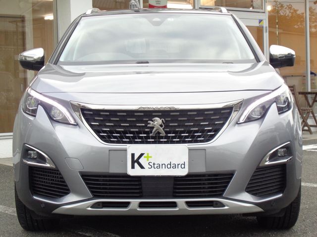 Peugeot 3008 2019-01 11790-5